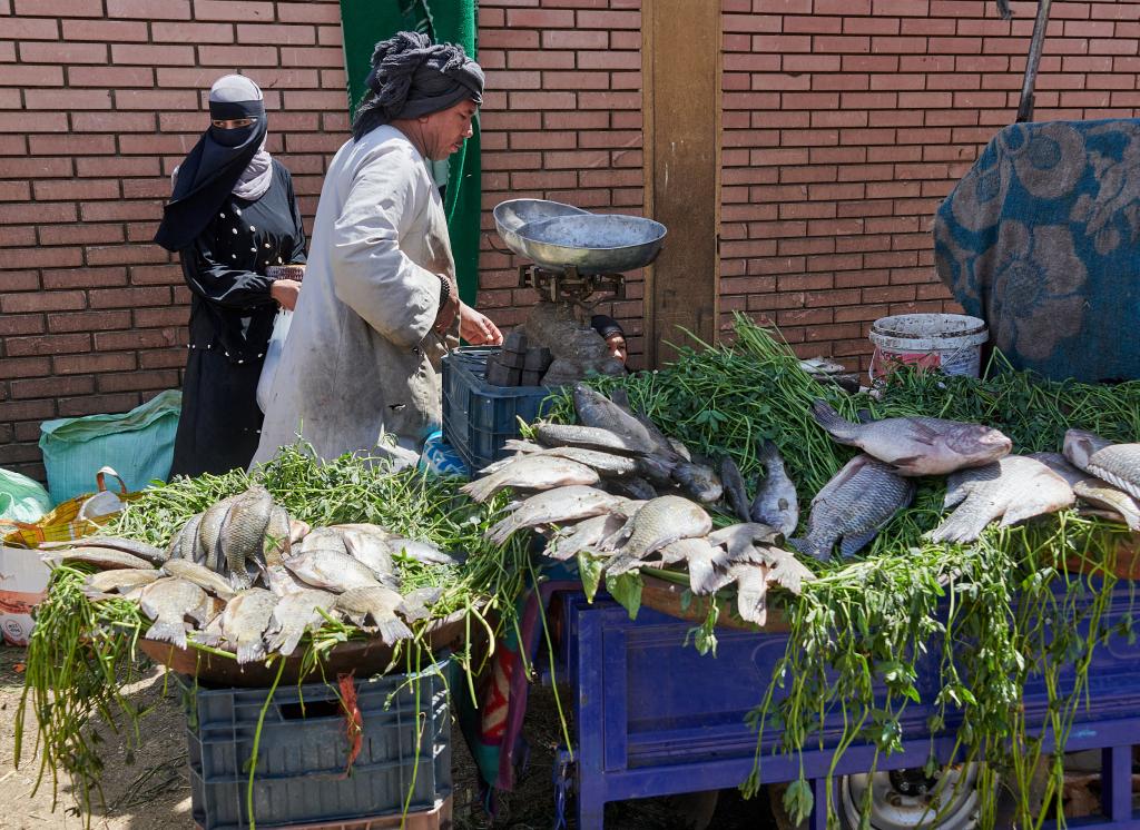 Le marché de Daraw [Egypte] - 2022