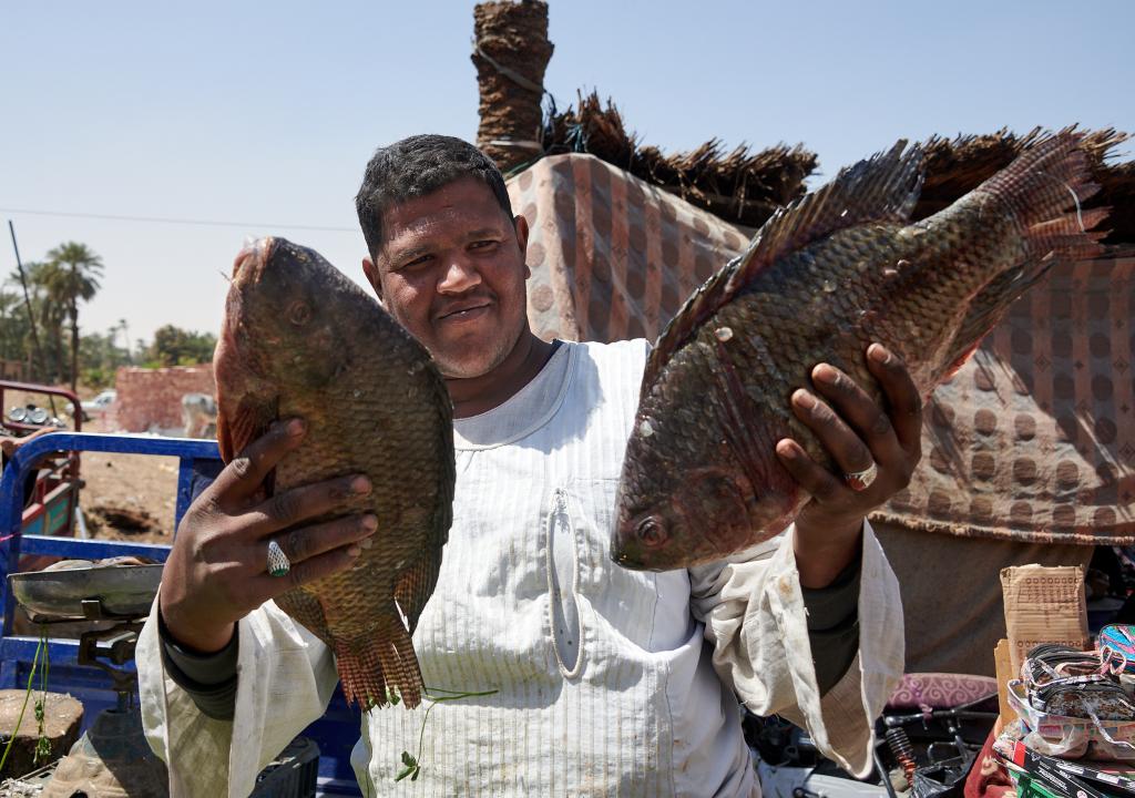 Le marché de Daraw [Egypte] - 2022