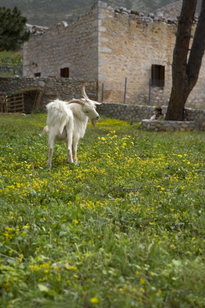 Vieux village dans le Mani [Grèce] - 2008