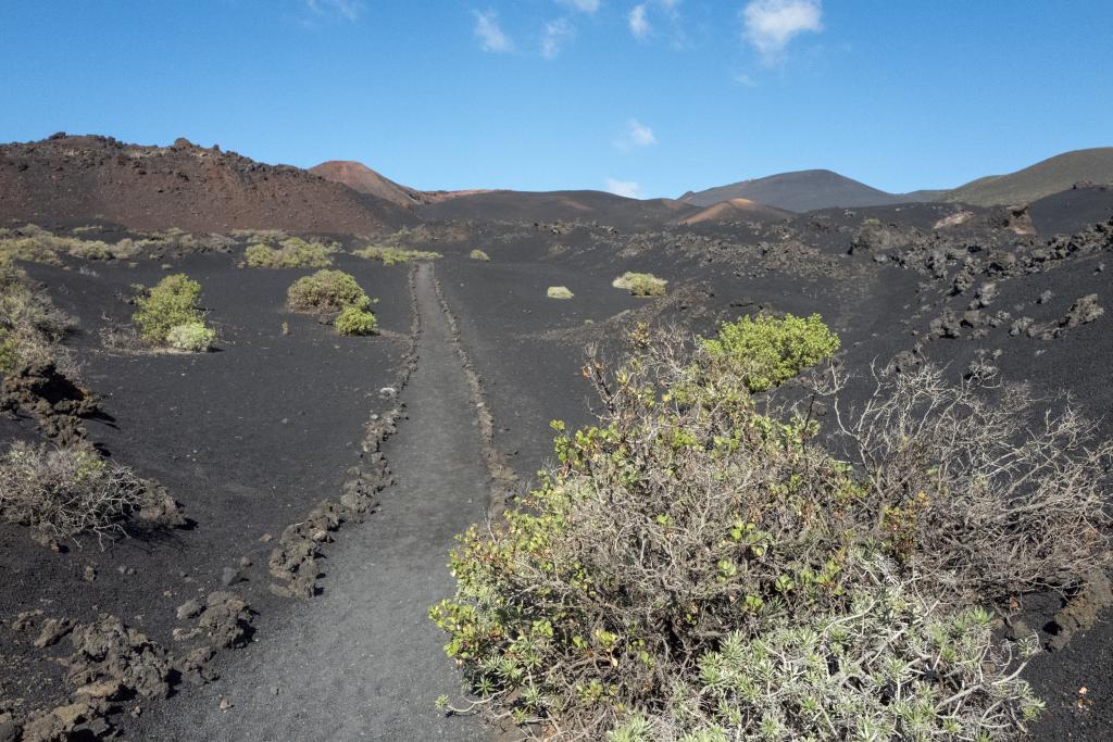 Sur le volcan Tanaguio, La Palma [Canaries] - 2017