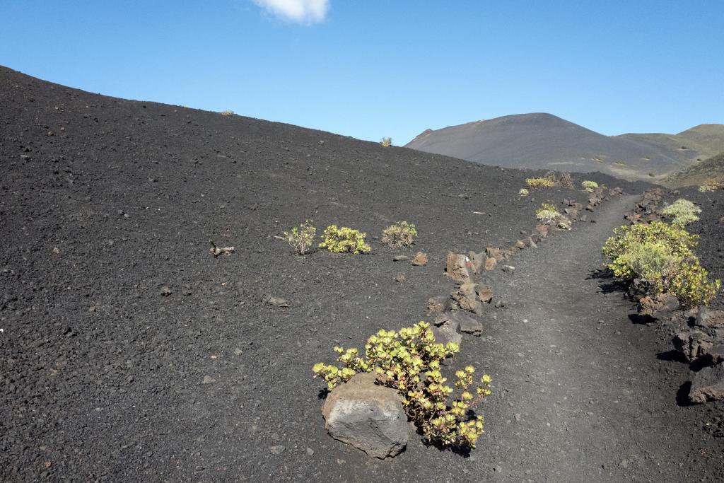 Sur le volcan Tanaguio, La Palma [Canaries] - 2017