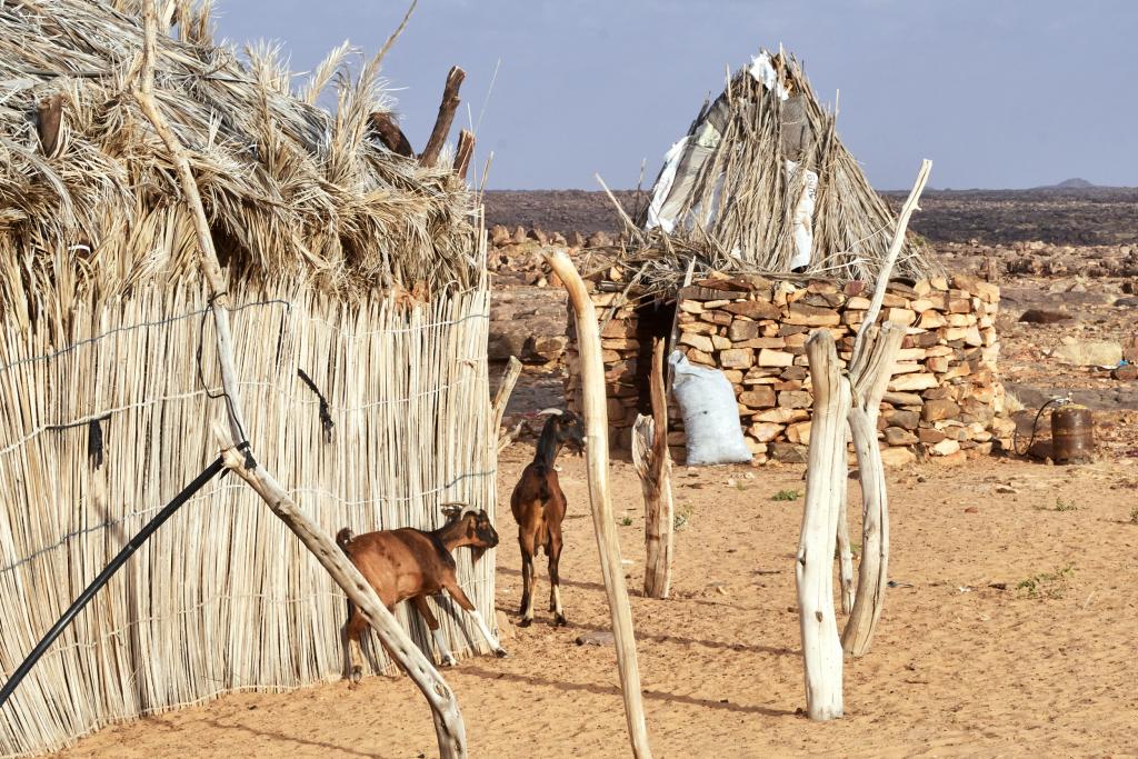 Village El Medah [Mauritanie] - 2022