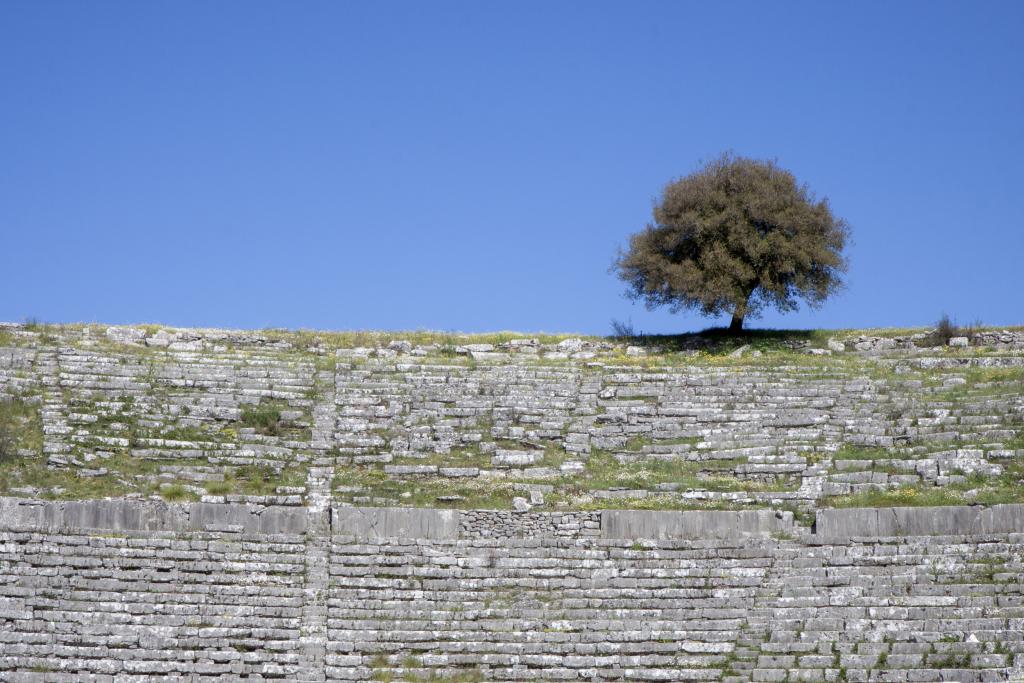 Delphes [Grèce] - 2015