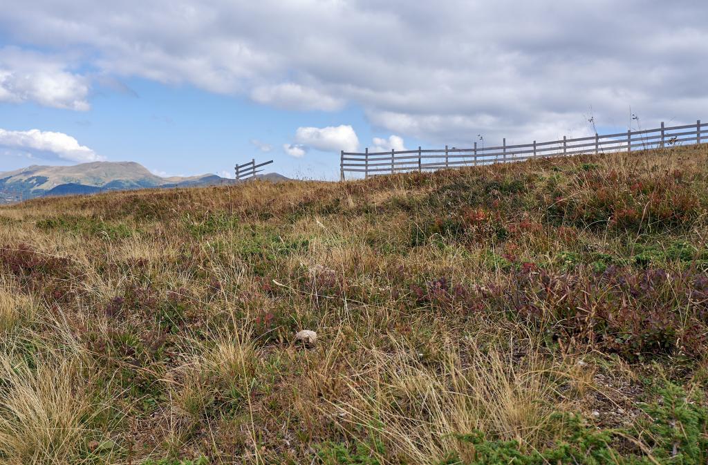Parc national de Biogradska Gora [Monténégro] - 2021
