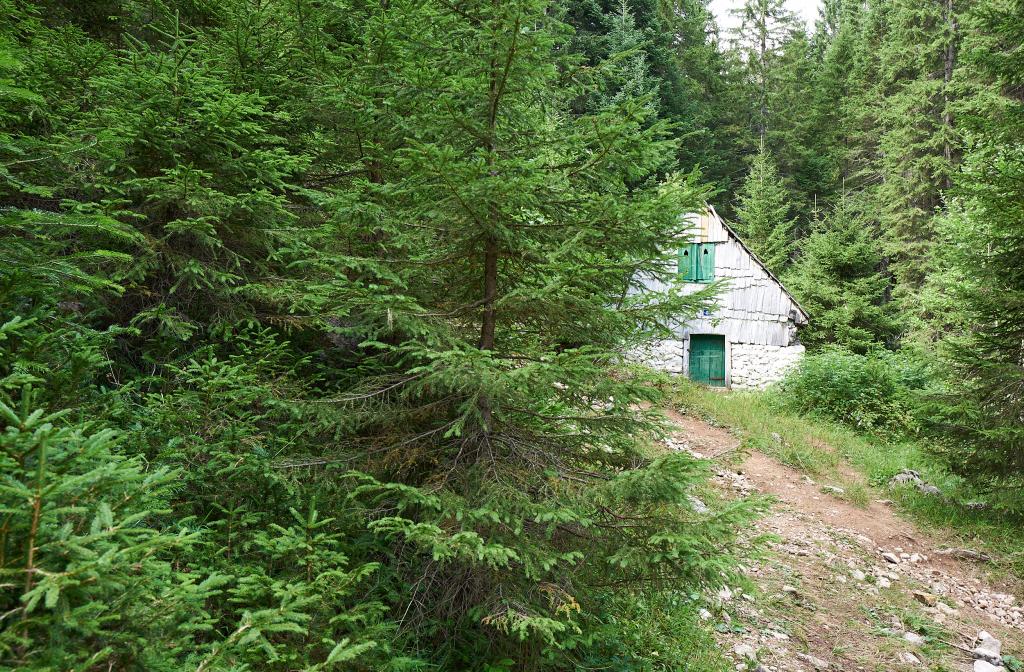 Parc national de Biogradska Gora [Monténégro] - 2021