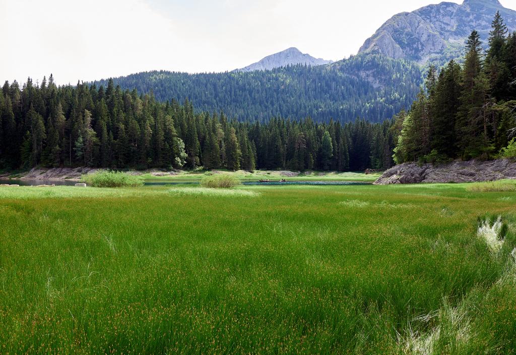 Parc national de Biogradska Gora [Monténégro] - 2021