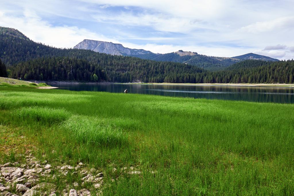 Parc national de Biogradska Gora [Monténégro] - 2021