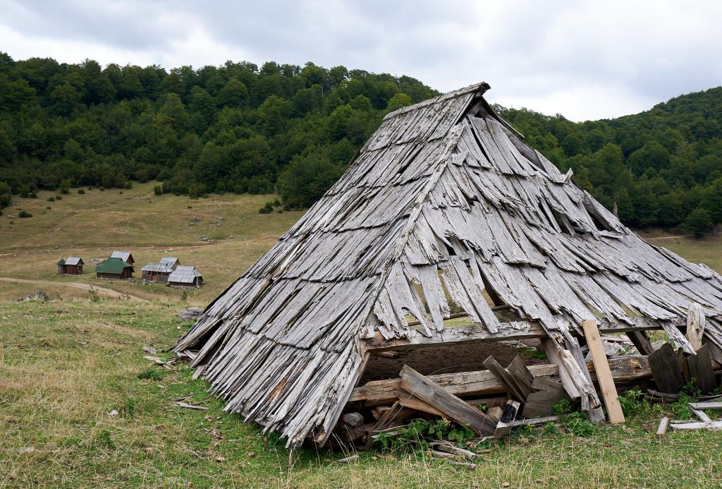 Parc national de Biogradska Gora [Monténégro] - 2021