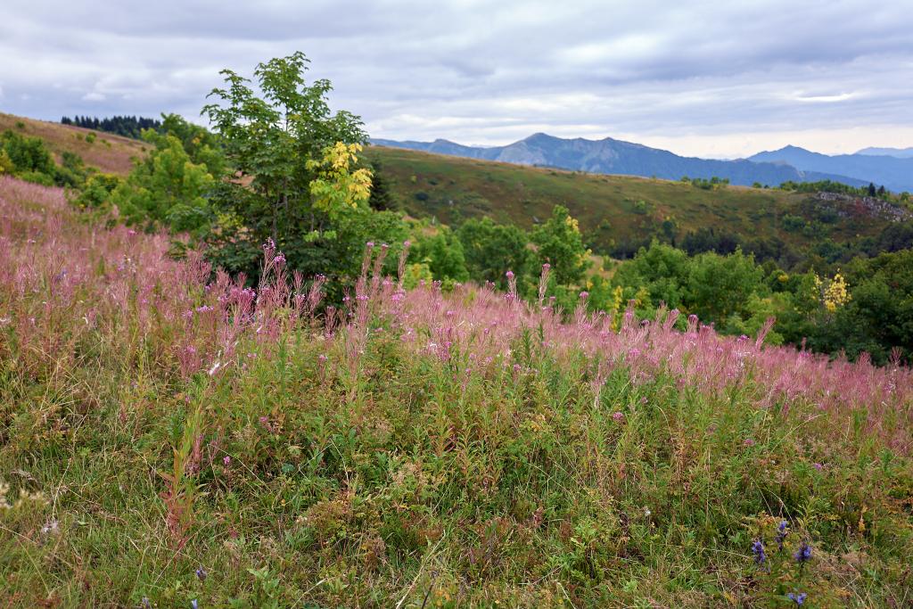 Parc national de Biogradska Gora [Monténégro] - 2021