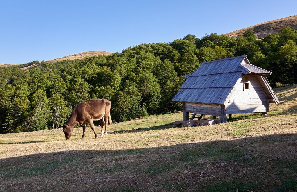 Parc national de Biogradska Gora [Monténégro] - 2021