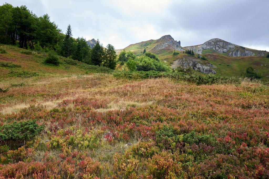 Parc national de Biogradska Gora [Monténégro] - 2021