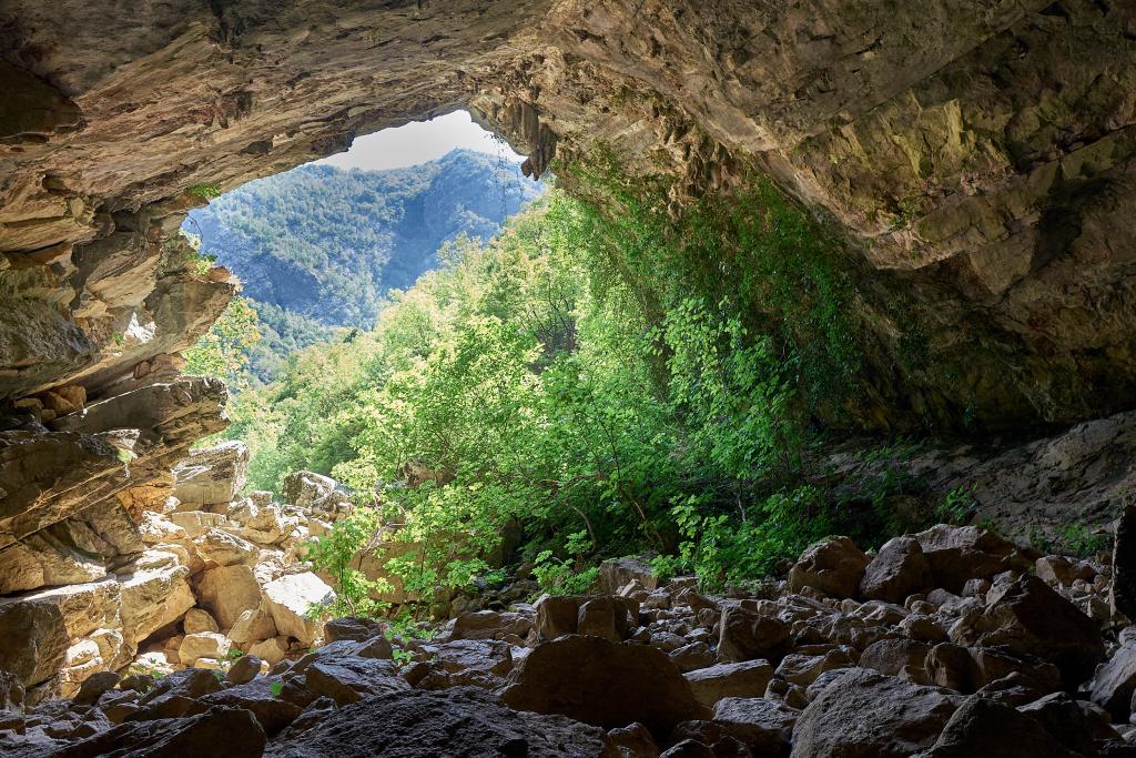 Dans les forêts d'Obod [Monténégro] - 2021