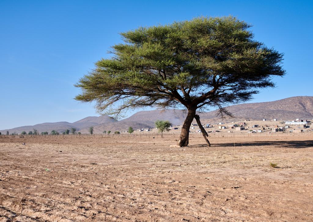 Pays Himba [Namibie] - 2021 