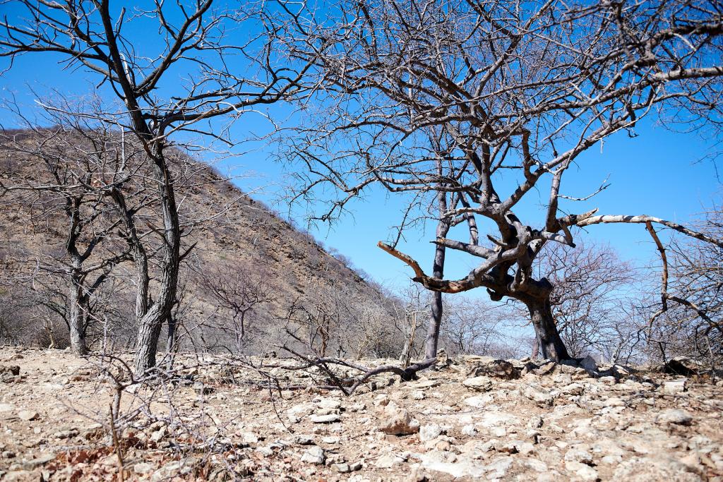 Pays Himba [Namibie] - 2021