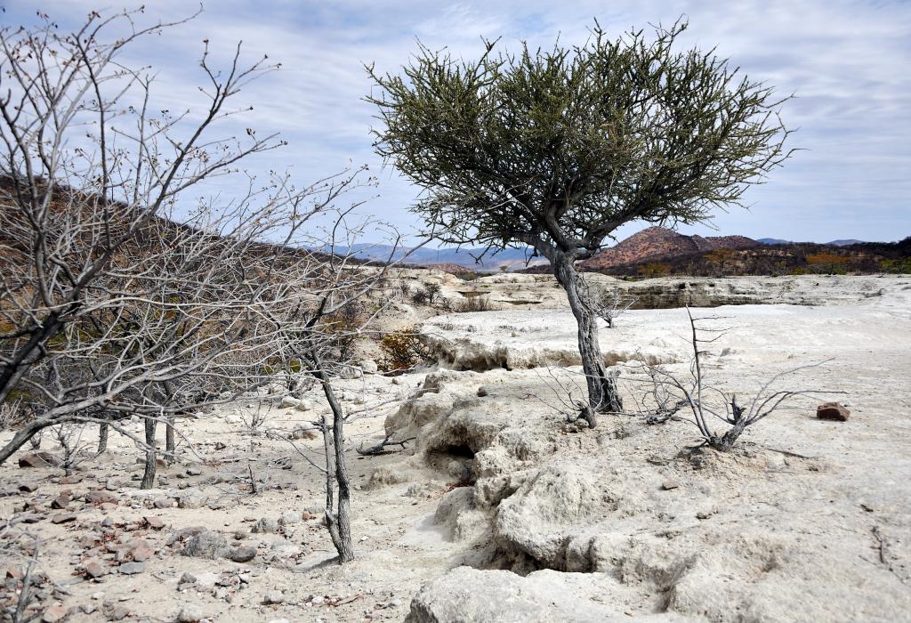 Le long de la rivière Hoanib [Namibie] - 2021