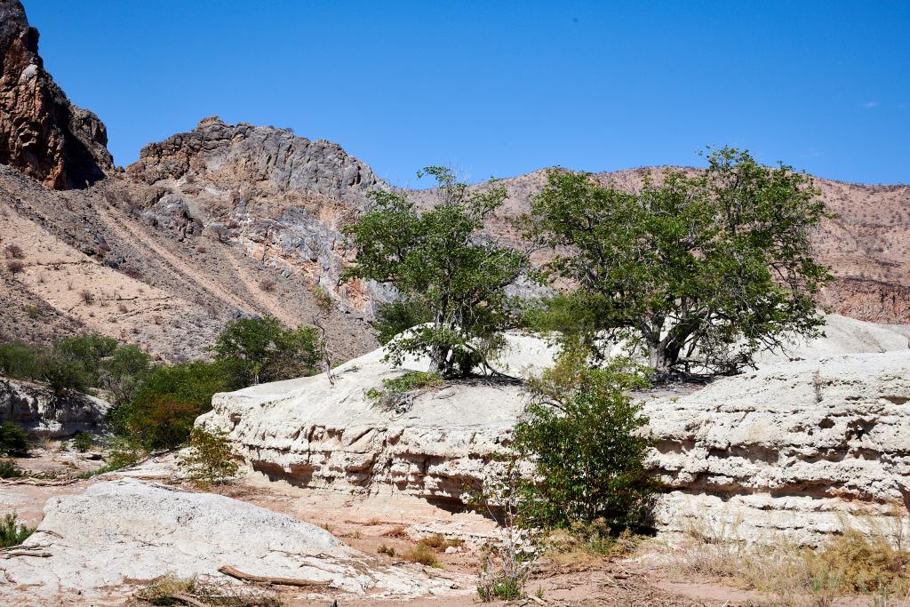 Le long de la rivière Hoanib [Namibie] - 2021 