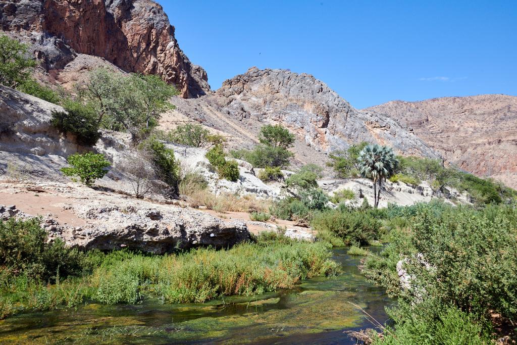 Le long de la rivière Hoanib [Namibie] - 2021 