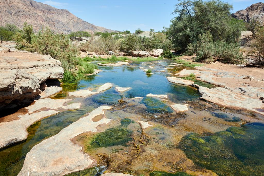 Le long de la rivière Hoanib [Namibie] - 2021