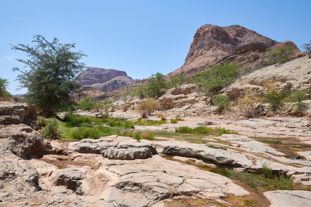 Le long de la rivière Hoanib [Namibie] - 2021