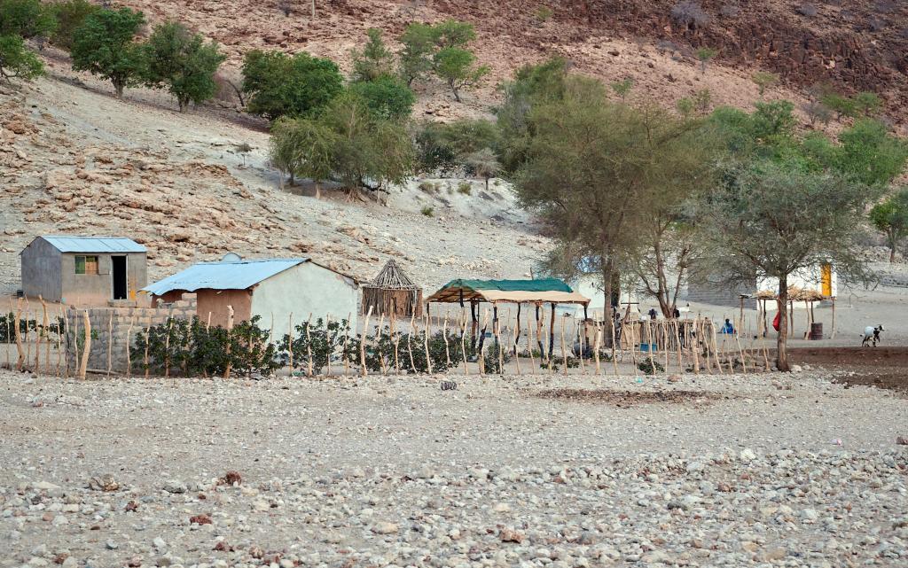 Le long de la rivière Khowarib [Namibie] - 2021