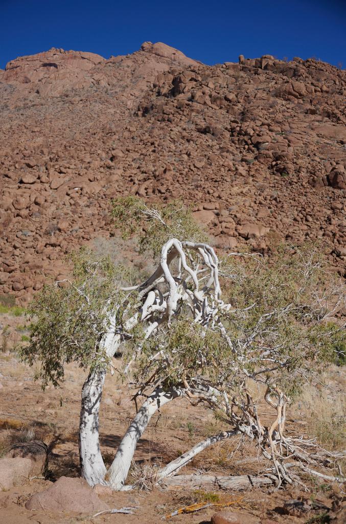 Le massif du Brandberg [Namibie] - 2021