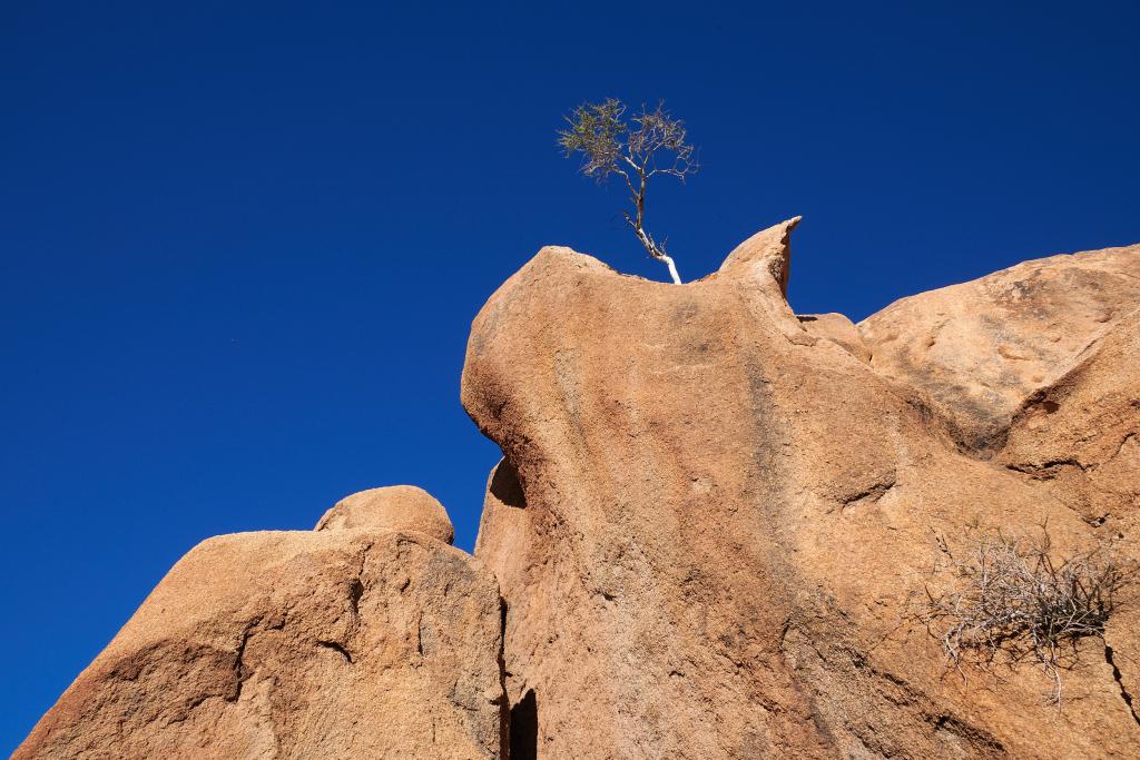 Massif de Spitzkoppe [Namibie] - 202