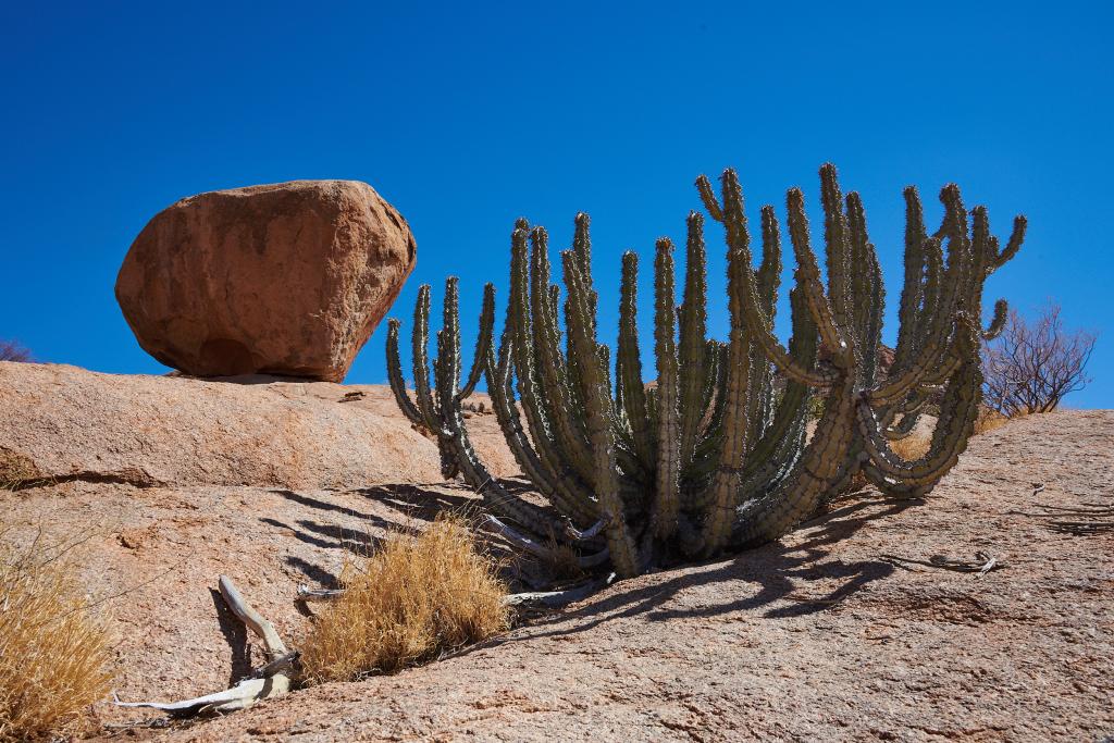 Massif de Spitzkoppe [Namibie] - 2021