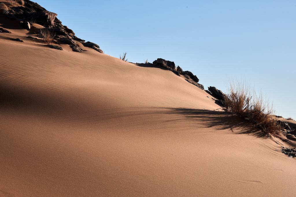 Homeb, désert du Namib [Namibie] - 2021