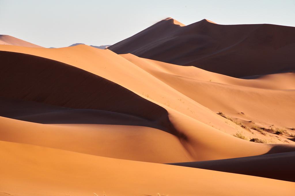 Homeb, désert du Namib [Namibie] - 2021