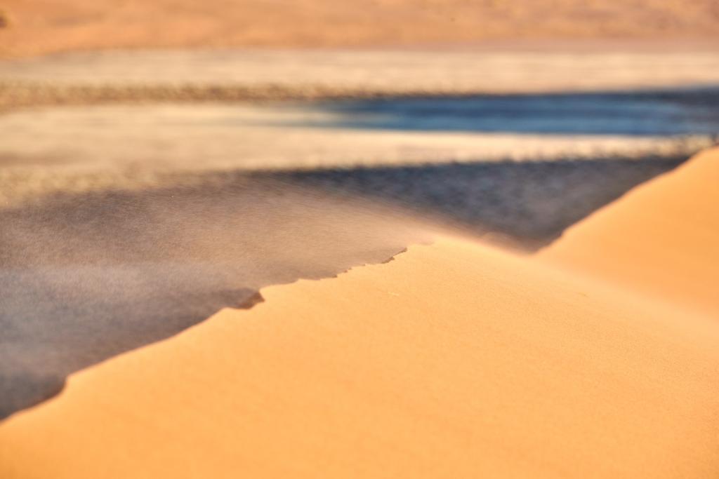 Homeb, désert du Namib [Namibie] - 2021