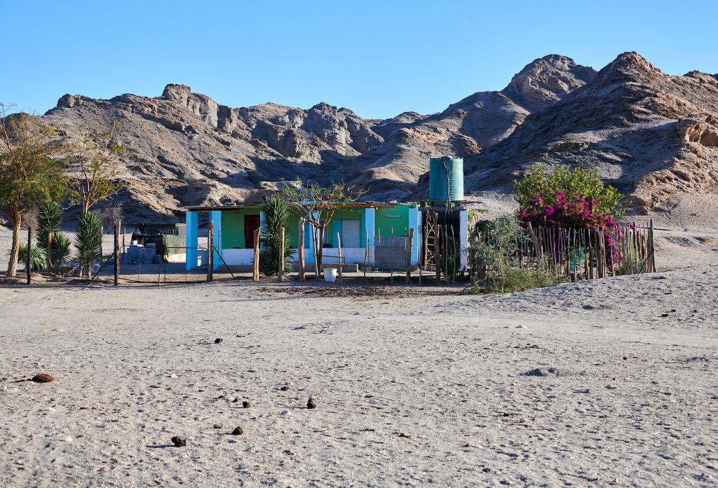 Homeb, désert du Namib [Namibie] - 2021