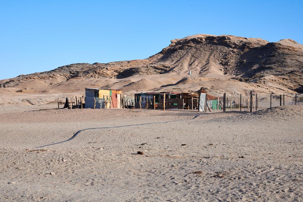 Homeb, désert du Namib [Namibie] - 2021