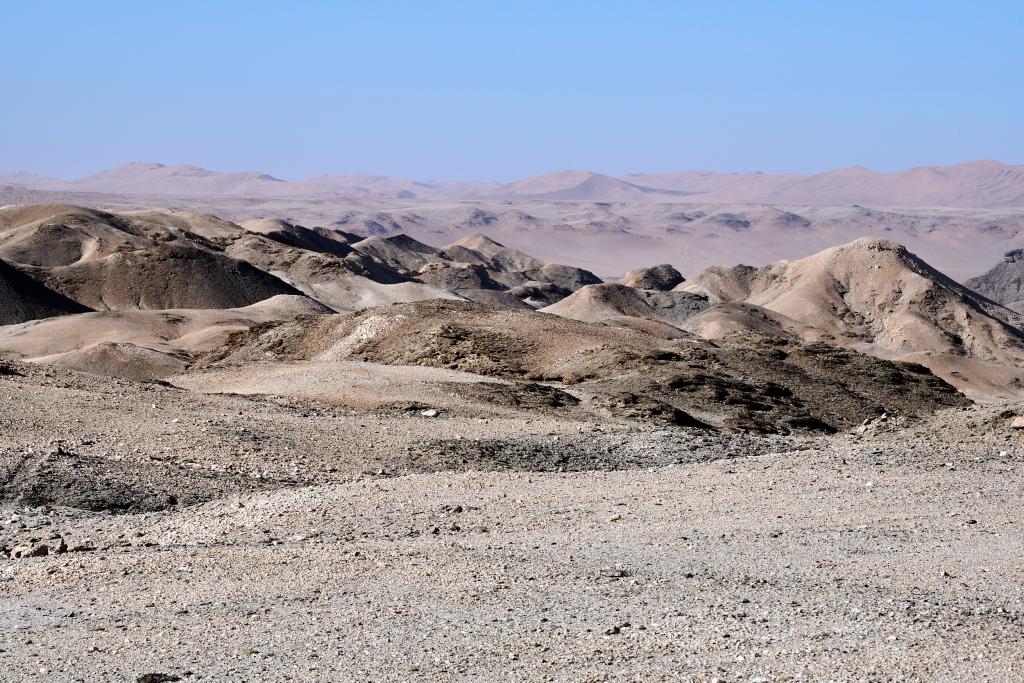 Homeb, désert du Namib [Namibie] - 2021