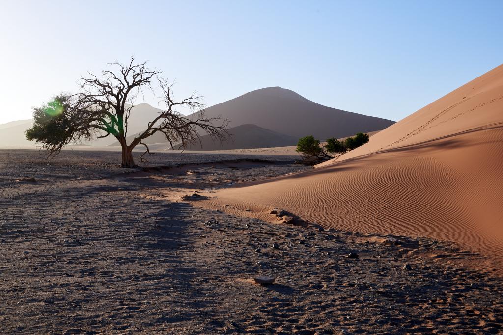 Dead Vlei, désert du Namib [Namibie] - 2021 