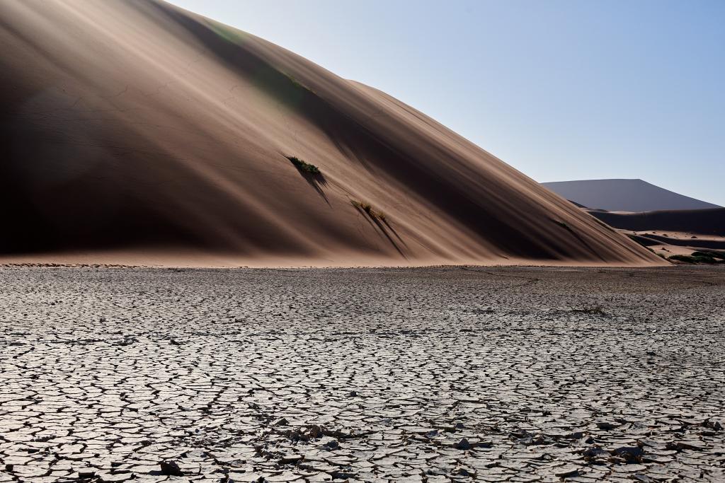 Dead Vlei, désert du Namib [Namibie] - 2021 