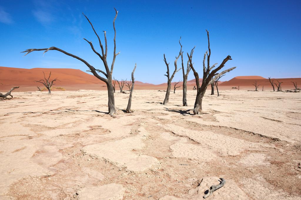 Dead Vlei, désert du Namib [Namibie] - 2021 