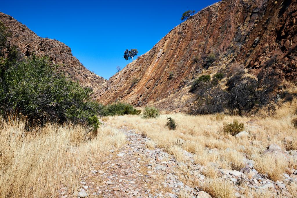 Zebra Park, désert du Naukluft [Namibie] - 2021