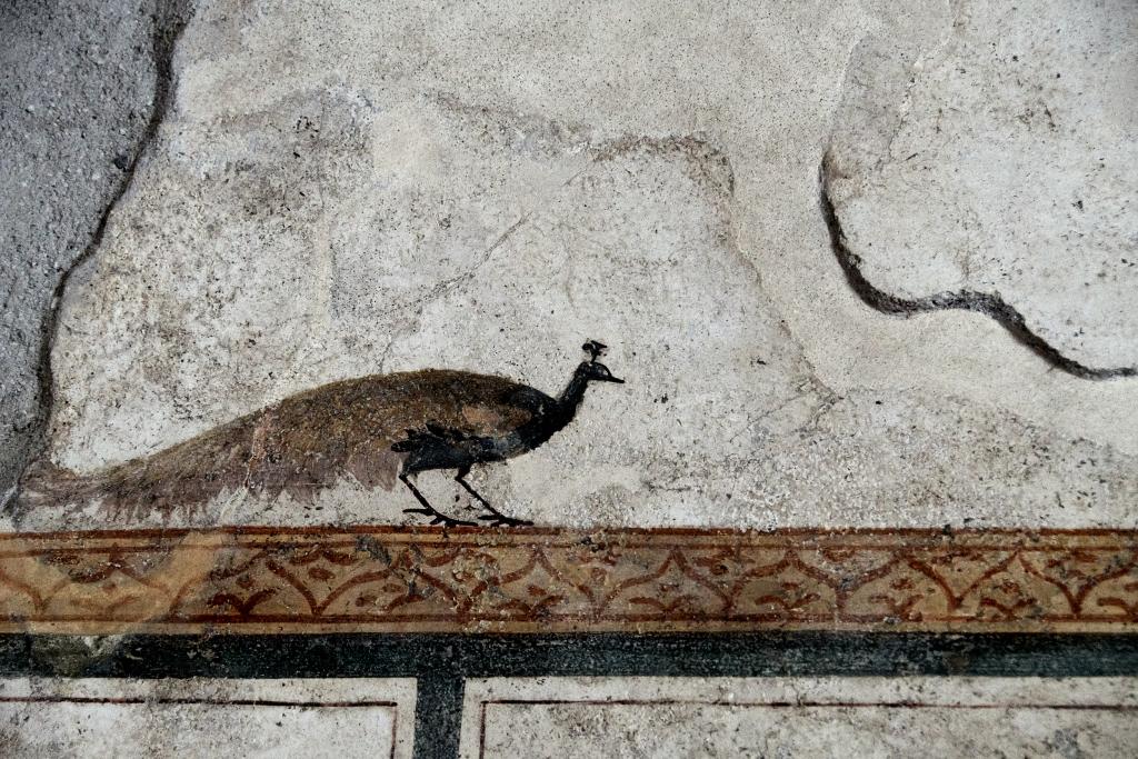 Herculanum, Naples - 2019