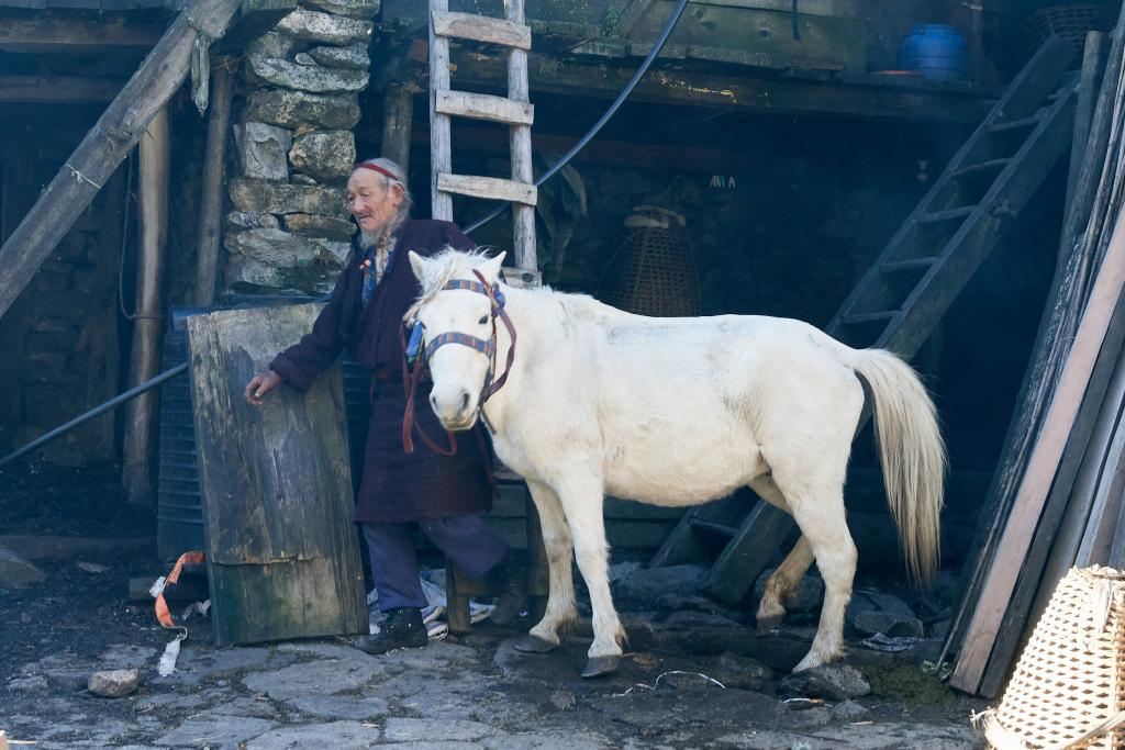 Le plateau de Himang Gompa [Népal] - 2022