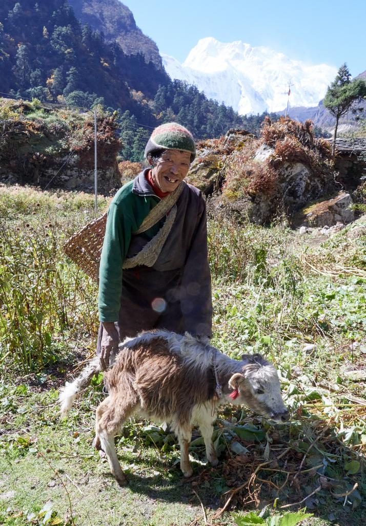 Le plateau de Himang Gompa [Népal] - 2022