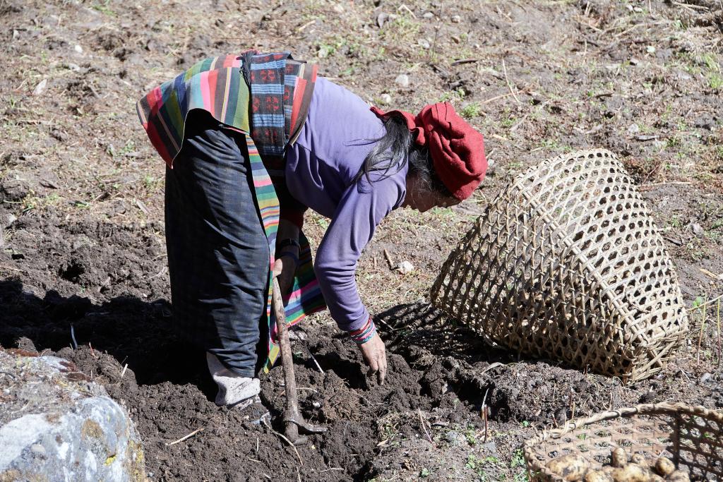Le plateau de Himang Gompa [Népal] - 2022