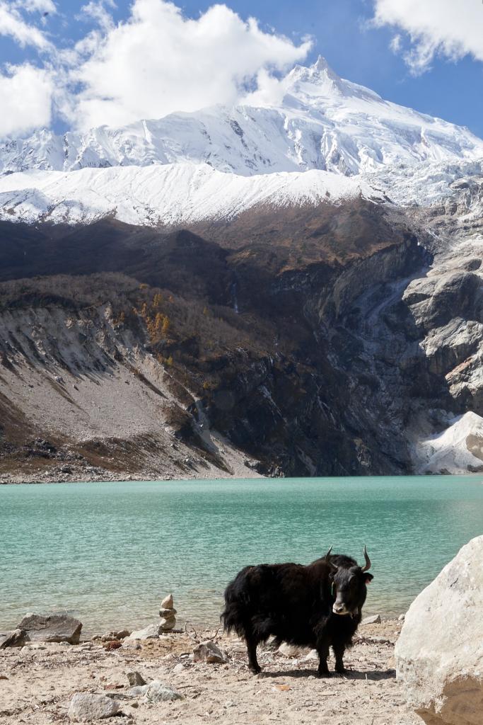 Lac Birendra, à l'ouest de Sama [Népal] - 2022