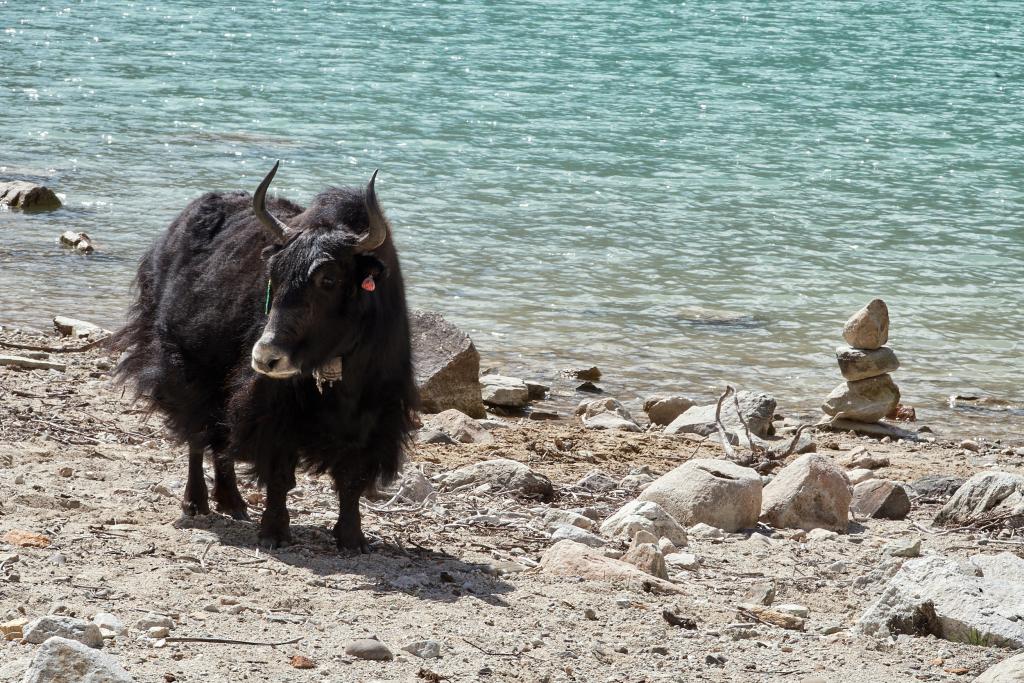 Lac Birendra, à l'ouest de Sama [Népal] - 2022