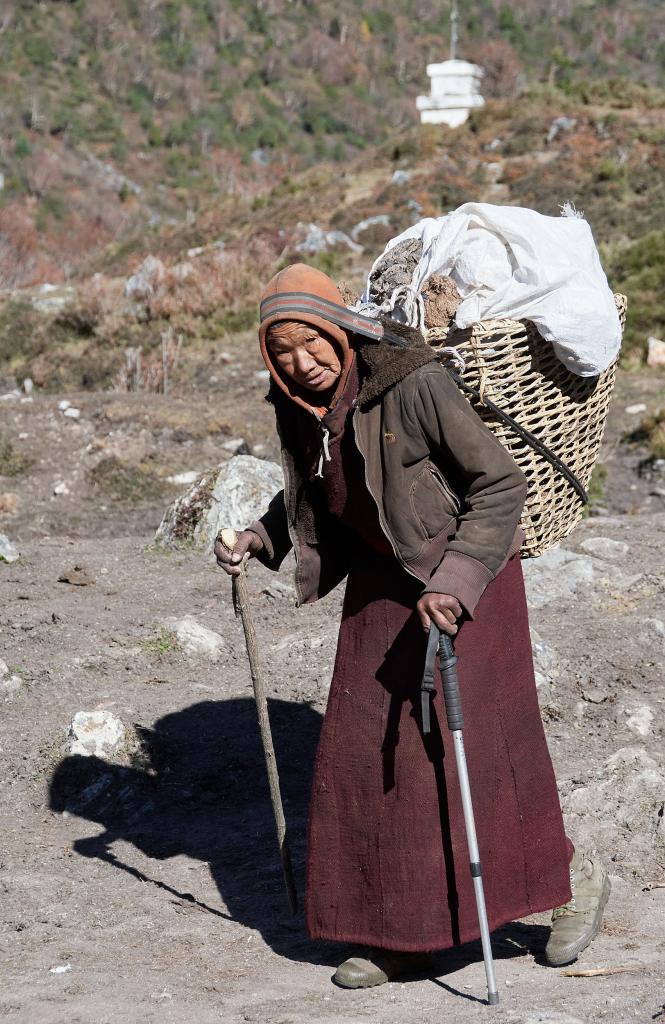 Sur le chemin de Samdo [Népal] - 2022