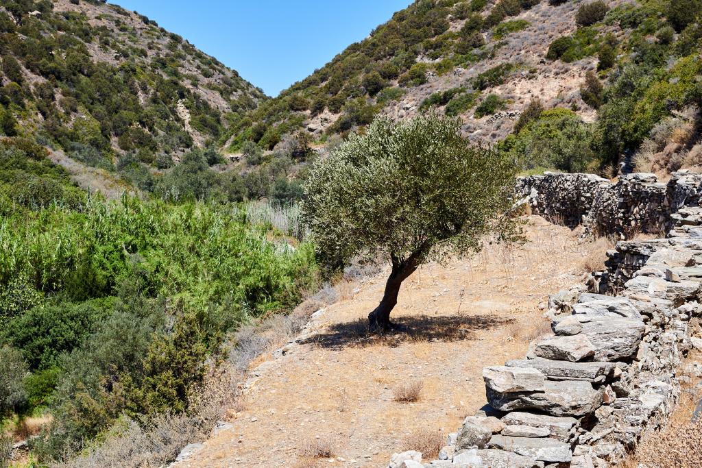 Sifnos - 2020 