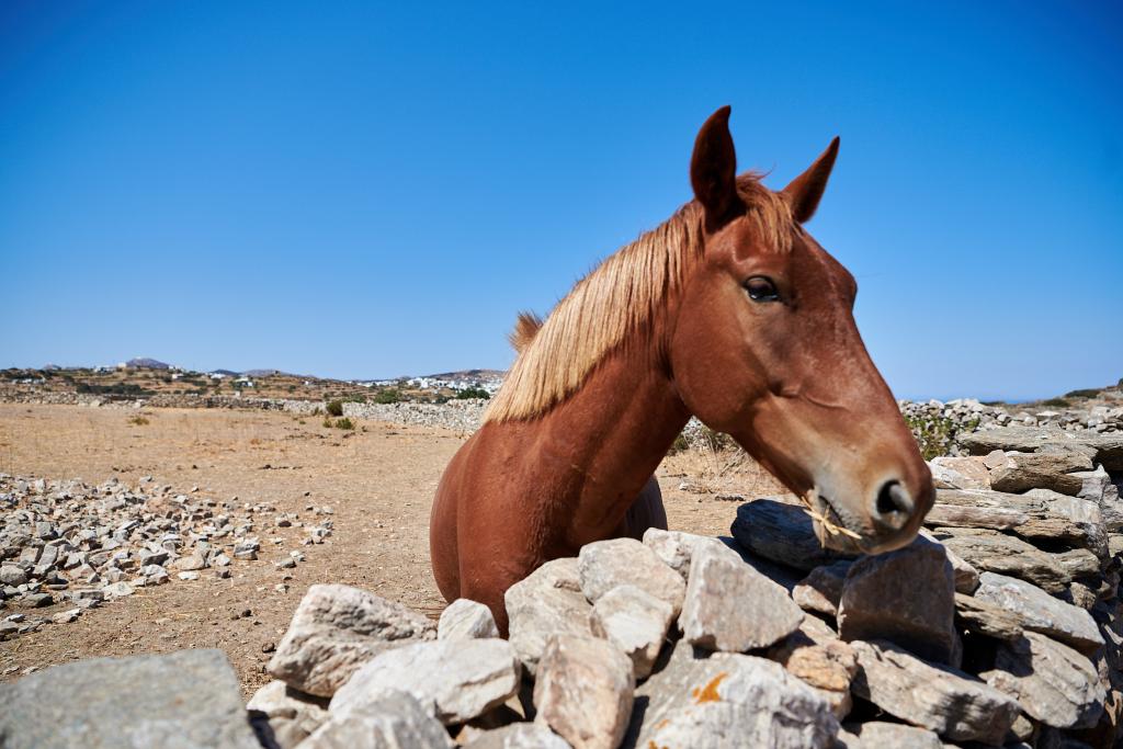 Sifnos - 2020 