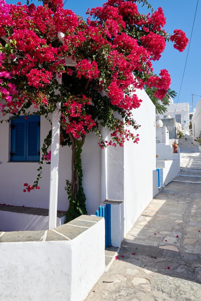 Apollonia, Sifnos - 2020 