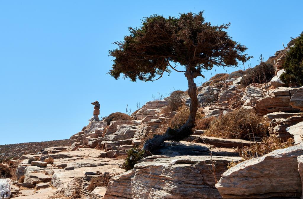 Sifnos - 2020 