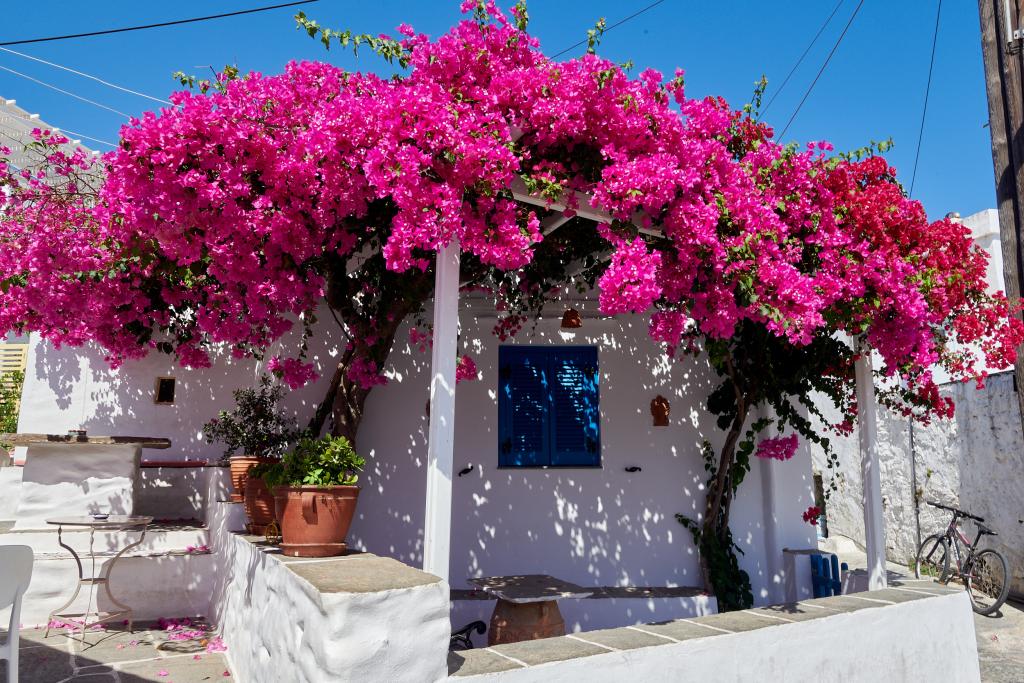 Artemonas, Sifnos - 2020 