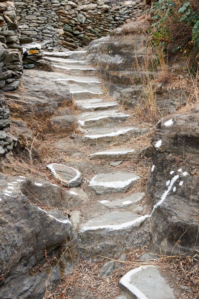  Sur les chemins entre Kastro et Apollonia, Sifnos - 2020 